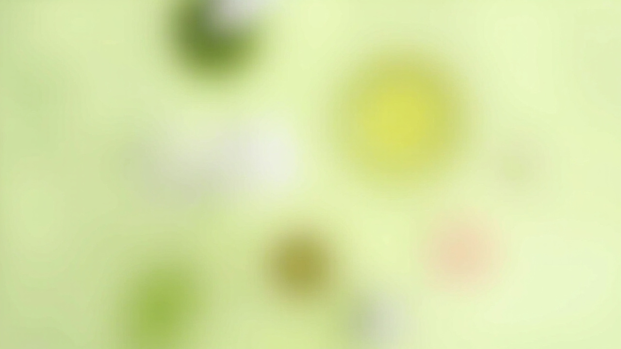 What is Green Tea Extract?